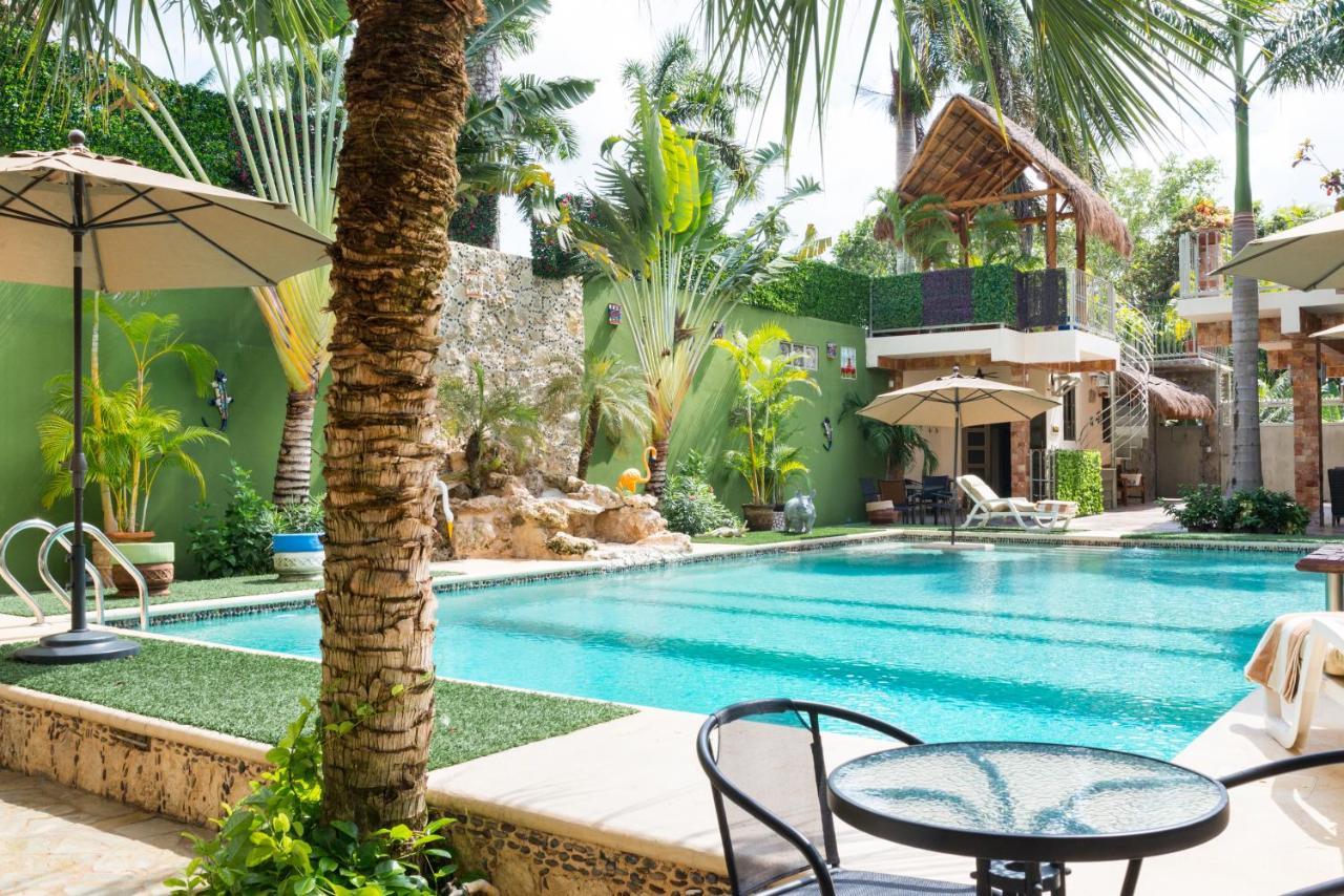 Alamos Inn Hotel Con Jacuzzi Y Piscina كانكون المظهر الخارجي الصورة